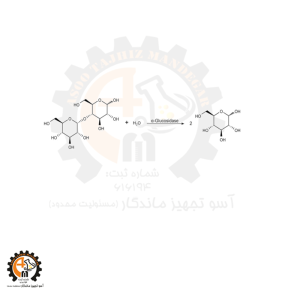 α-گلوکوزیداز(α-Glucosidase from Saccharomyces cerevisiae) G5003