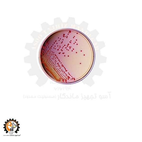 محیط کشت جیولیتی کانتونی براث Giolitti-Cantoni Broth