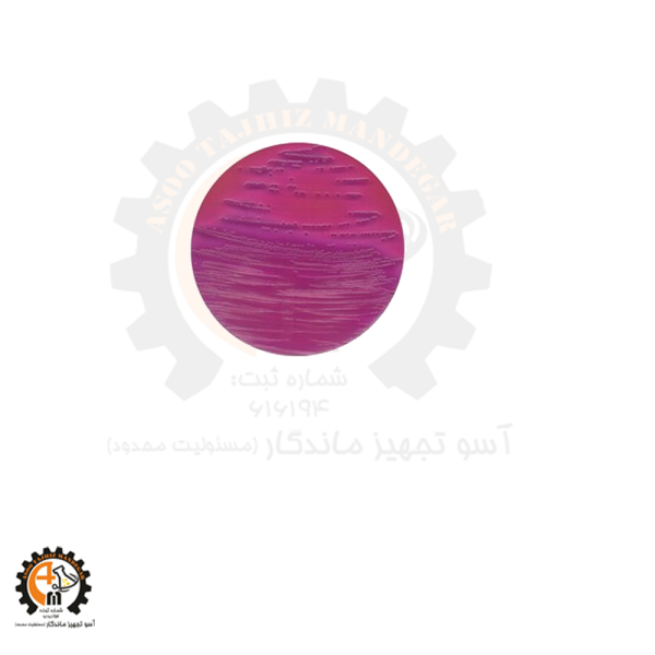 محیط کشت ویولت رد بایل لاکتوز آگارکیولب VRBL (Violet Red Bile Lactose) agar