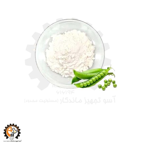 خرید و قیمت پودر پروتئین نخود | High-Quality Pea Protein Powder