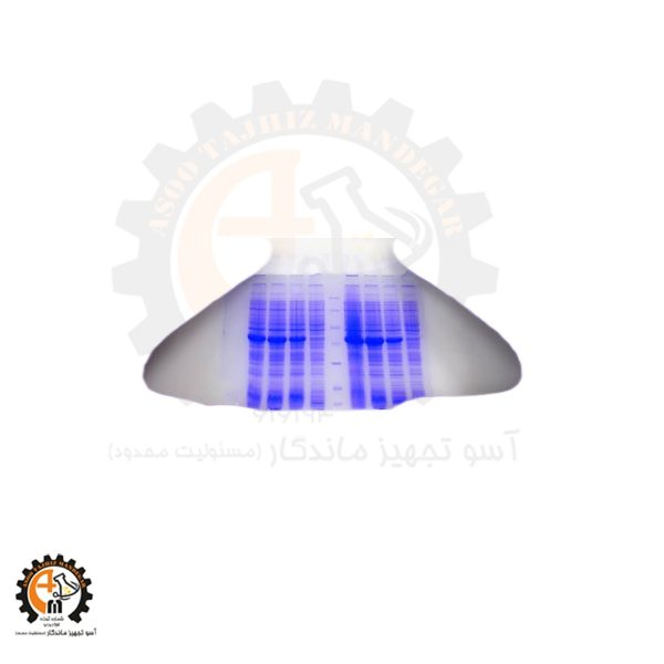 خرید و قیمت TEMED سیگما (T9281) - کاتالیزور تشکیل ژل الکتروفورز PAGE