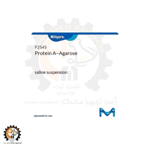 خرید و قیمت پروتئین A آگارز سیگما کد P2545 گرید آزمایشگاهی