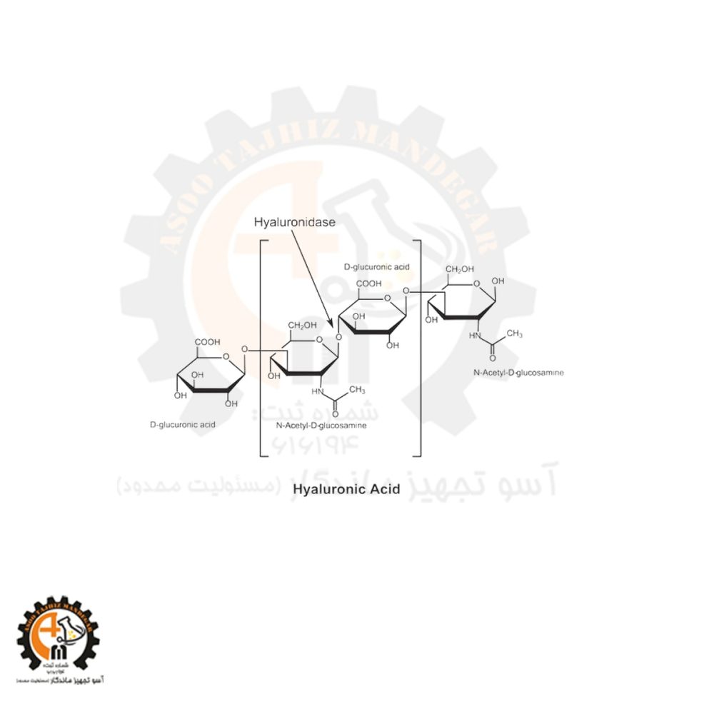 خرید و قیمت هیالورونیداز سیگما کد H3506 | آنزیم Hyaluronidase اصل