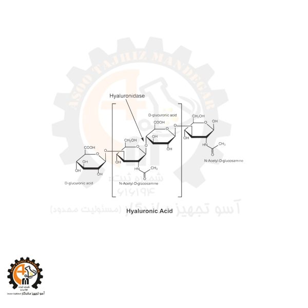 خرید و قیمت هیالورونیداز سیگما کد H3506 | آنزیم Hyaluronidase اصل